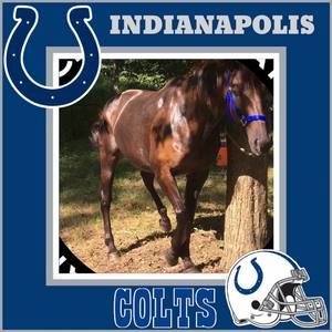 Meet your Posher, Damarrio